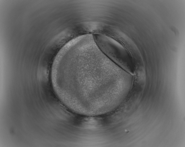 X0000113740558200910141006