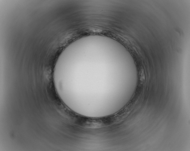 X0000113740559200910141006