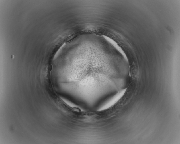 X0000113740560200910141006