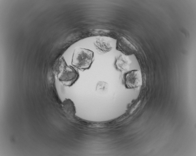 X0000113740561200910141006