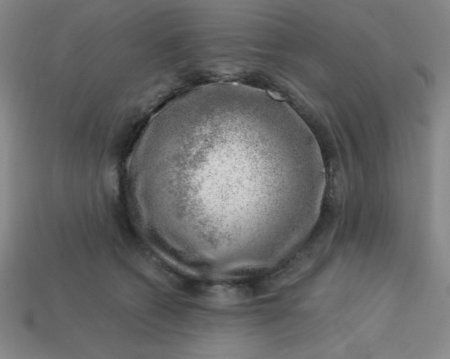 X0000113740562200910141006