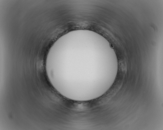 X0000113740564200910141006