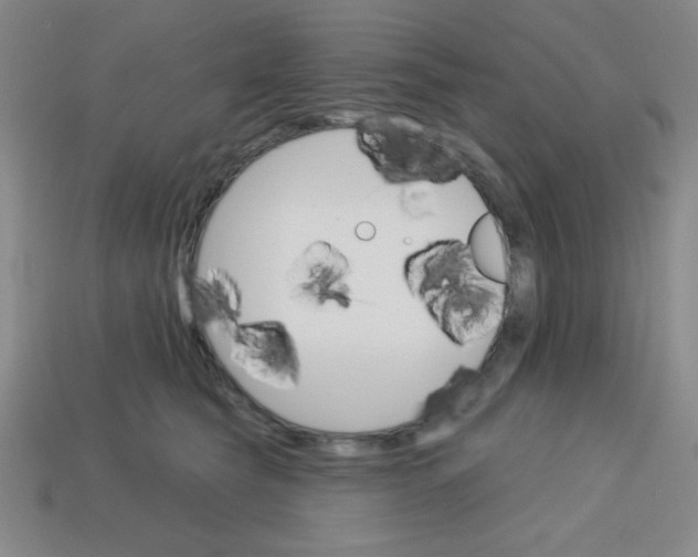 X0000113740565200910141006