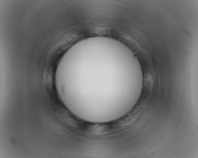 X0000113740566200910141006