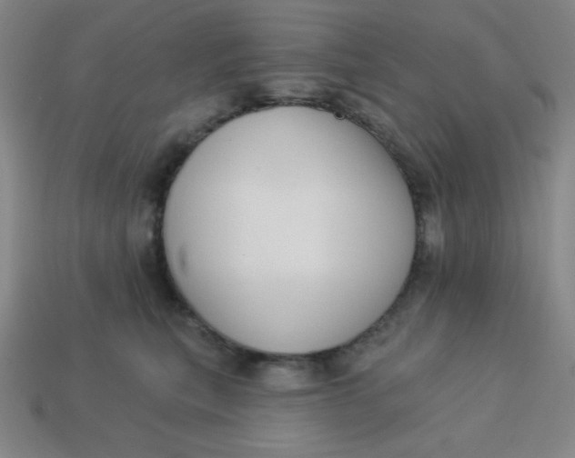 X0000113740567200910141006