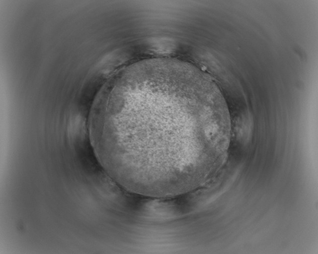 X0000113740568200910141006