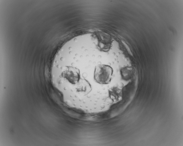 X0000113740569200910141006