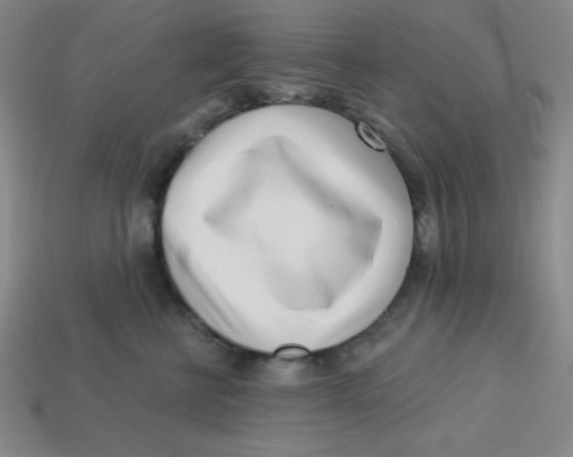 X0000113740570200910141006