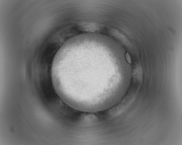 X0000113740572200910141006