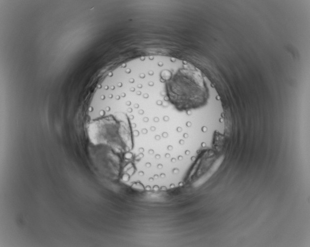 X0000113740573200910141006