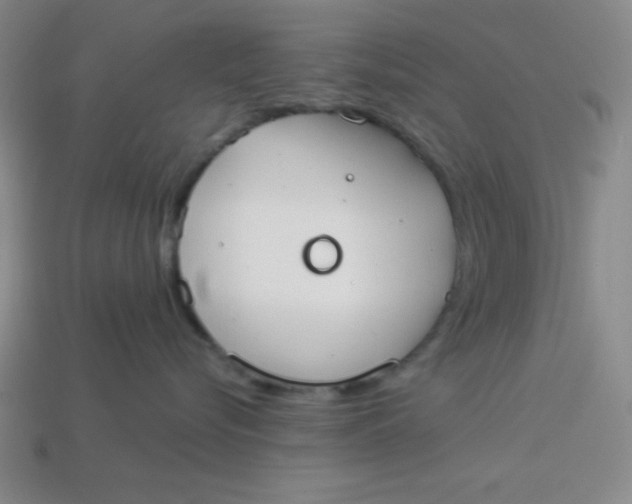 X0000113740576200910141006