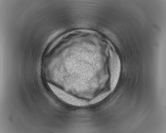 X0000113740578200910141006