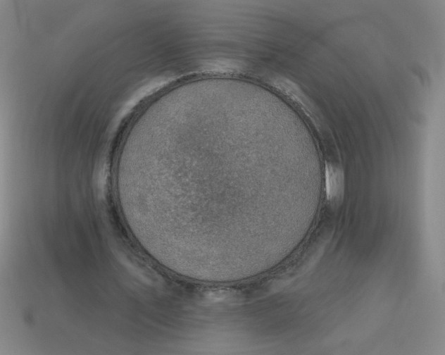 X0000113740579200910141006