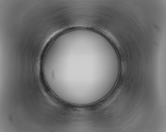 X0000113740580200910141006