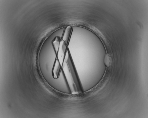 X0000113740581200910141006