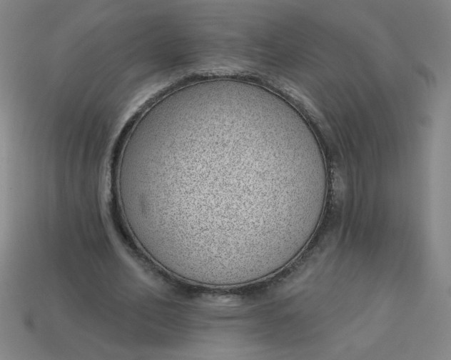 X0000113740582200910141006