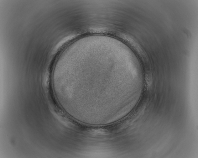 X0000113740583200910141006