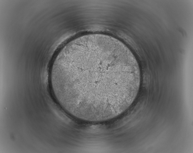 X0000113740584200910141006