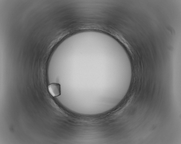 X0000113740585200910141006