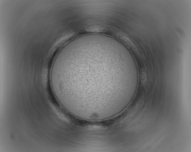 X0000113740586200910141006