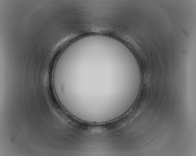 X0000113740587200910141006