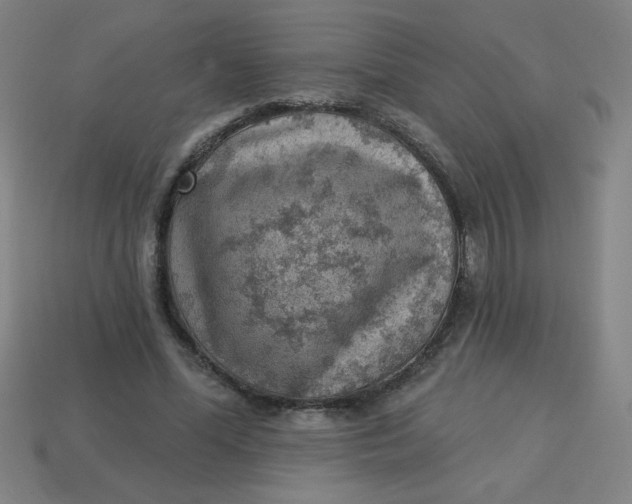 X0000113740588200910141006