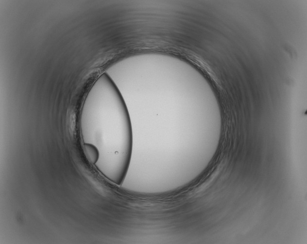 X0000113740589200910141006