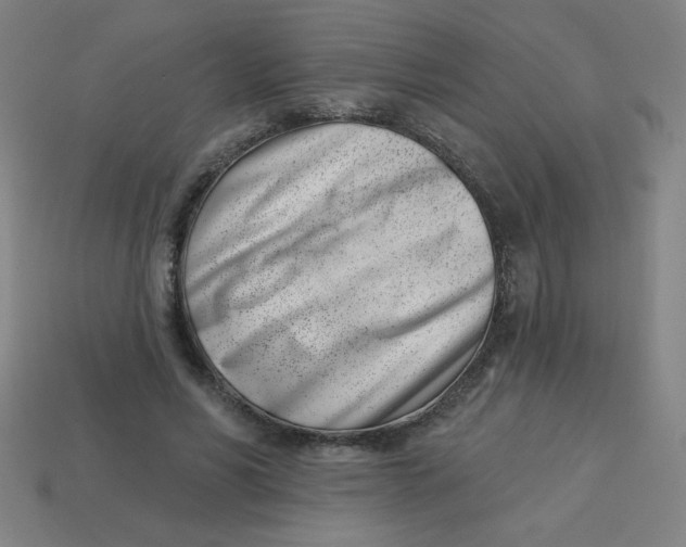 X0000113740590200910141006