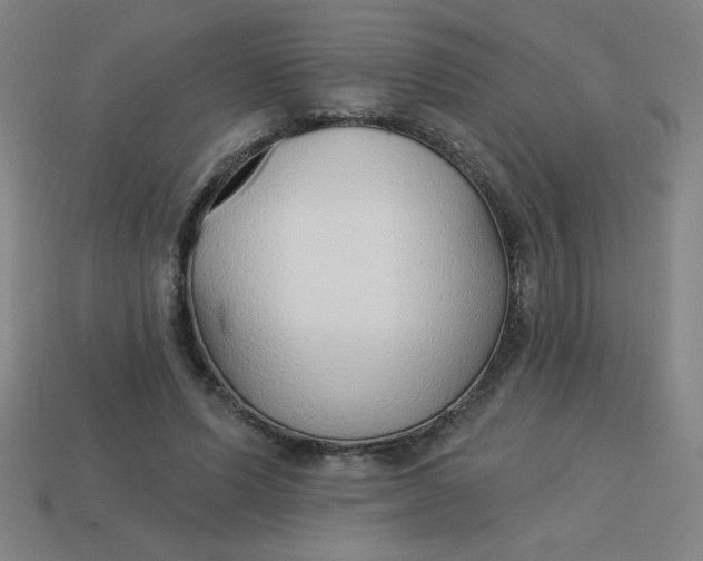 X0000113740591200910141006