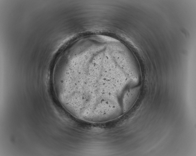 X0000113740592200910141005