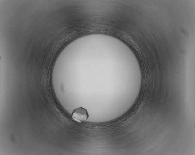 X0000113740593200910141005