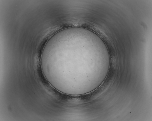 X0000113740594200910141005