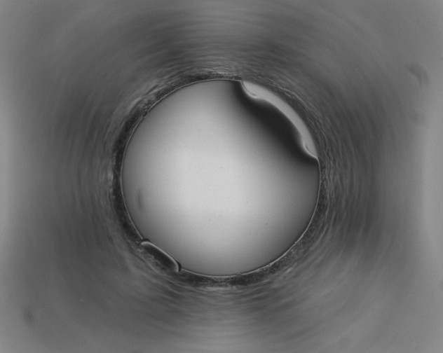 X0000113740595200910141005