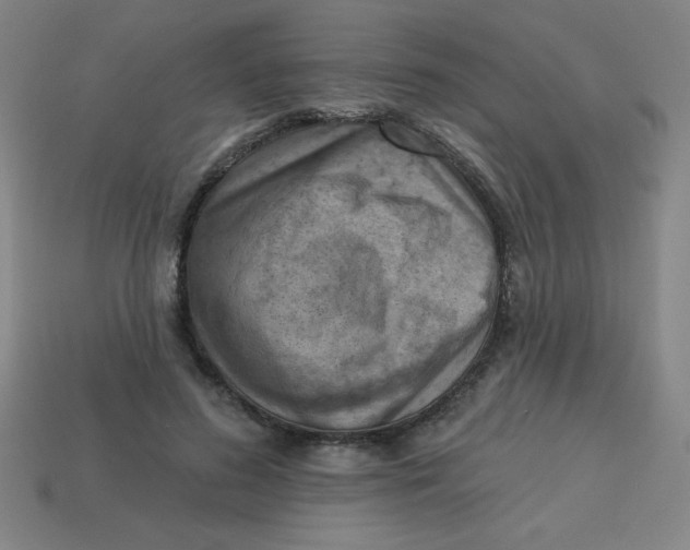 X0000113740596200910141005