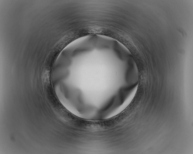 X0000113740598200910141005