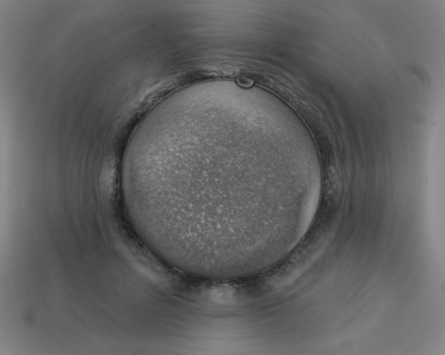 X0000113740600200910141005