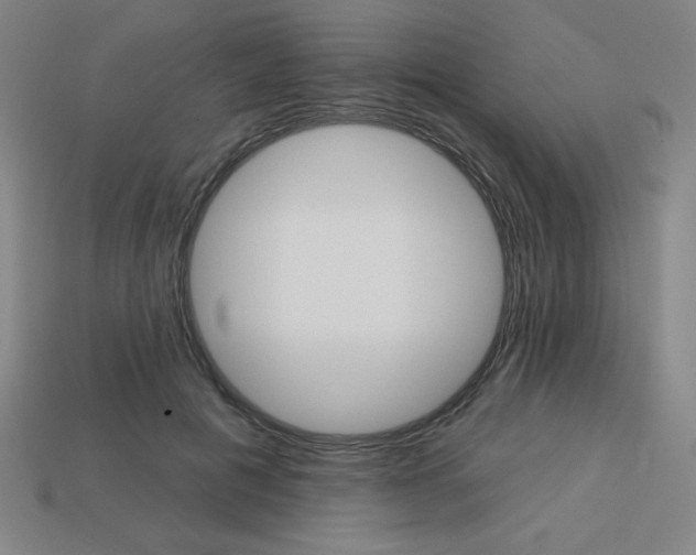 X0000113740601200910141005