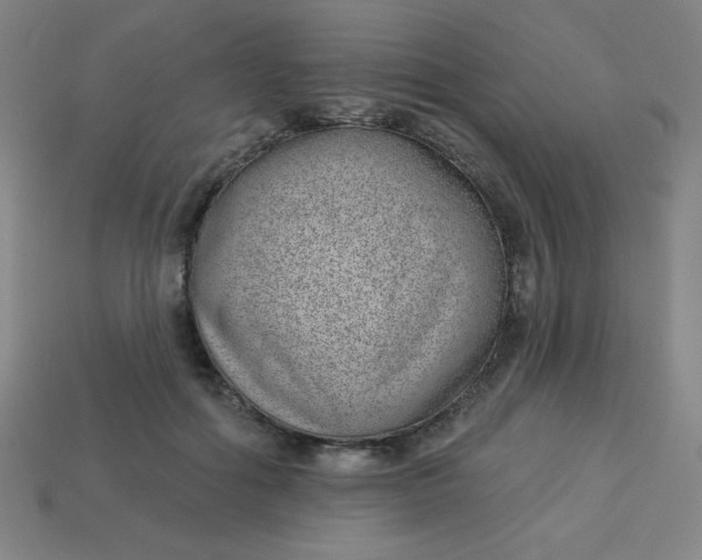 X0000113740602200910141005