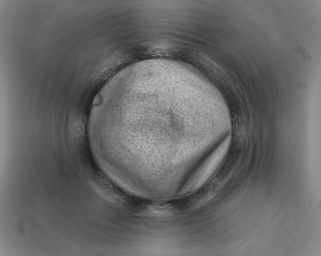 X0000113740603200910141005