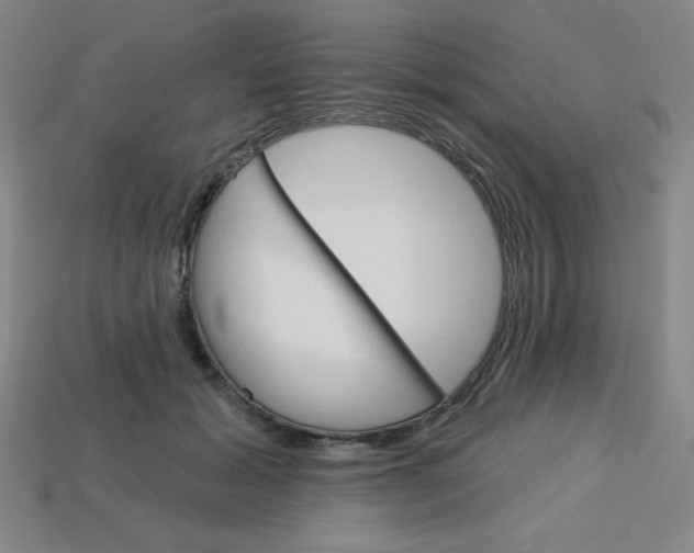 X0000113740605200910141005