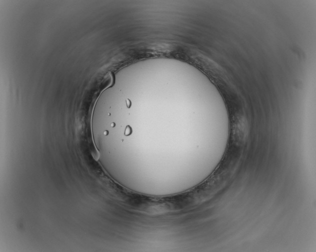 X0000113740608200910141005