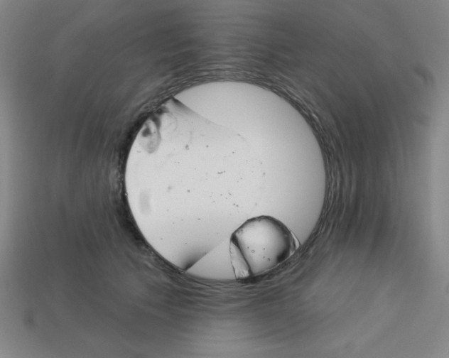 X0000113740609200910141005