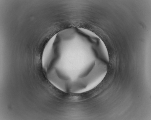 X0000113740610200910141005