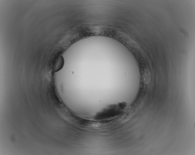 X0000113740611200910141005