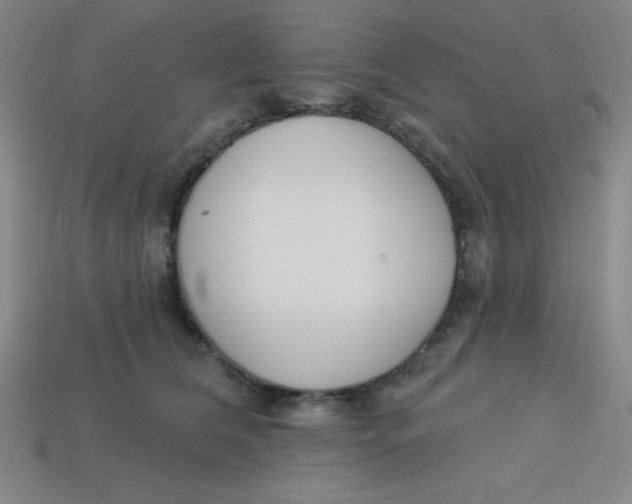 X0000113740612200910141005