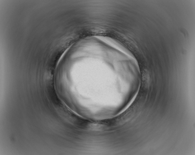 X0000113740614200910141005