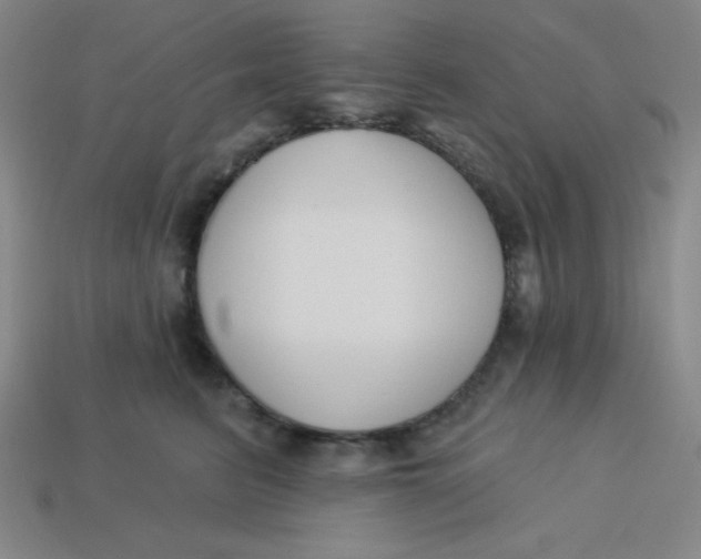 X0000113740615200910141005