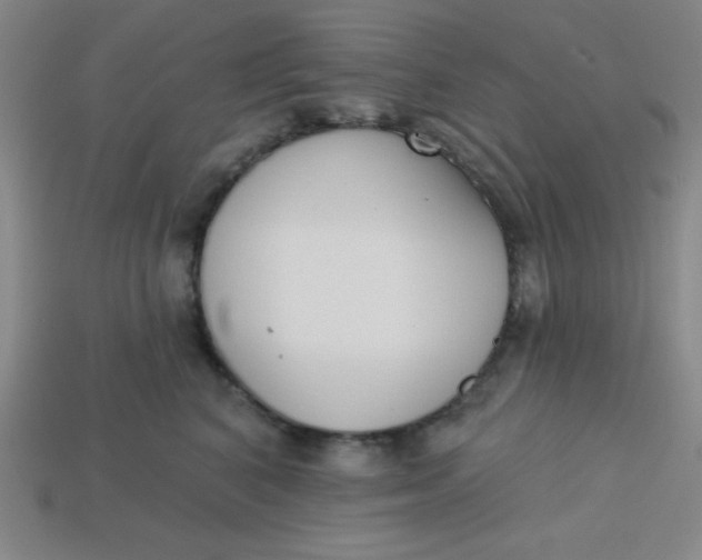 X0000113740616200910141005