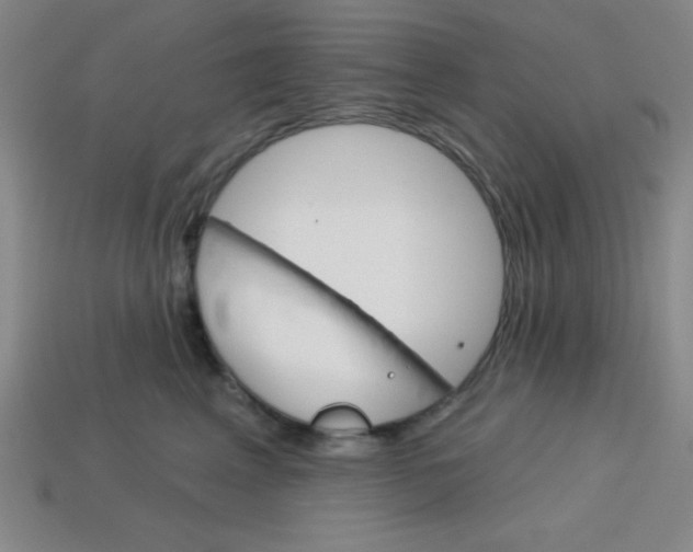 X0000113740617200910141005