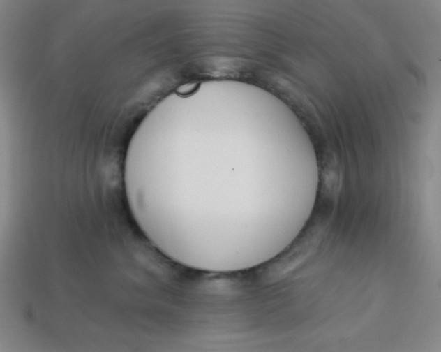 X0000113740620200910141005